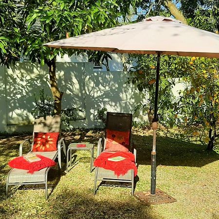 Raka Cottage Νέλσπρουιτ Εξωτερικό φωτογραφία