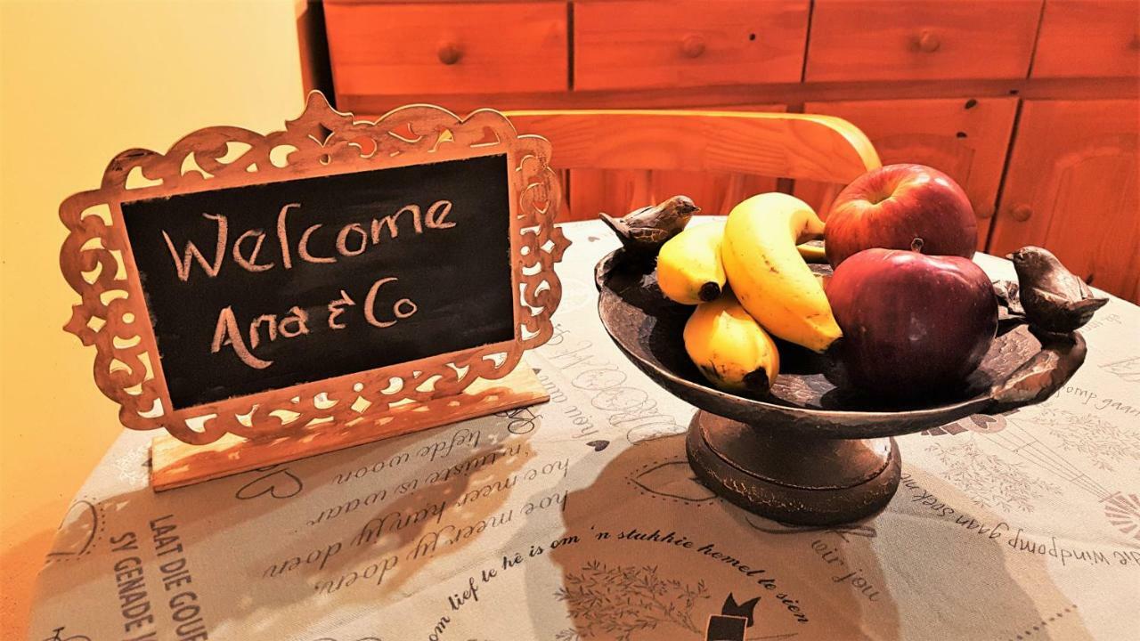 Raka Cottage Νέλσπρουιτ Εξωτερικό φωτογραφία